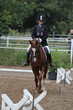Bild 963 - WBO-Turnier am 18.9.11